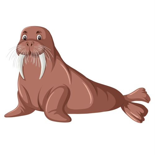 Under the Sea Theme Majestic Walrus Transparent Sticker